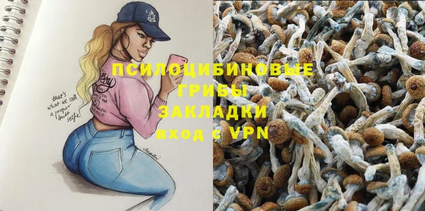прущие крисы Баксан