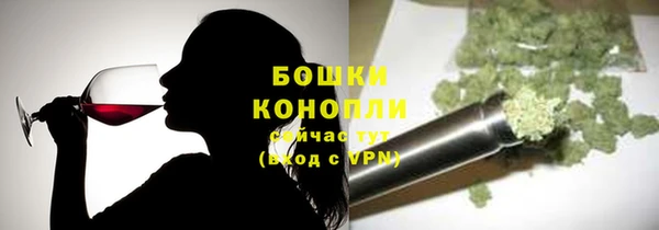 гидра Балахна