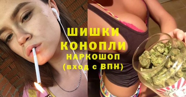 шишки Армянск