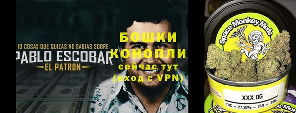 гидра Балахна