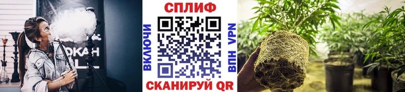 купить закладку  Красавино  Шишки марихуана LSD WEED 